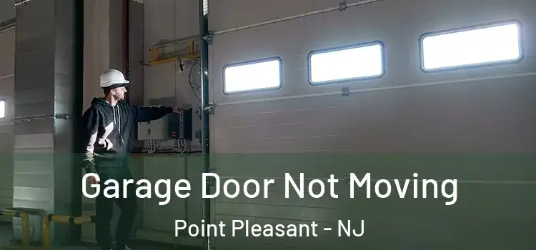  Garage Door Not Moving Point Pleasant - NJ